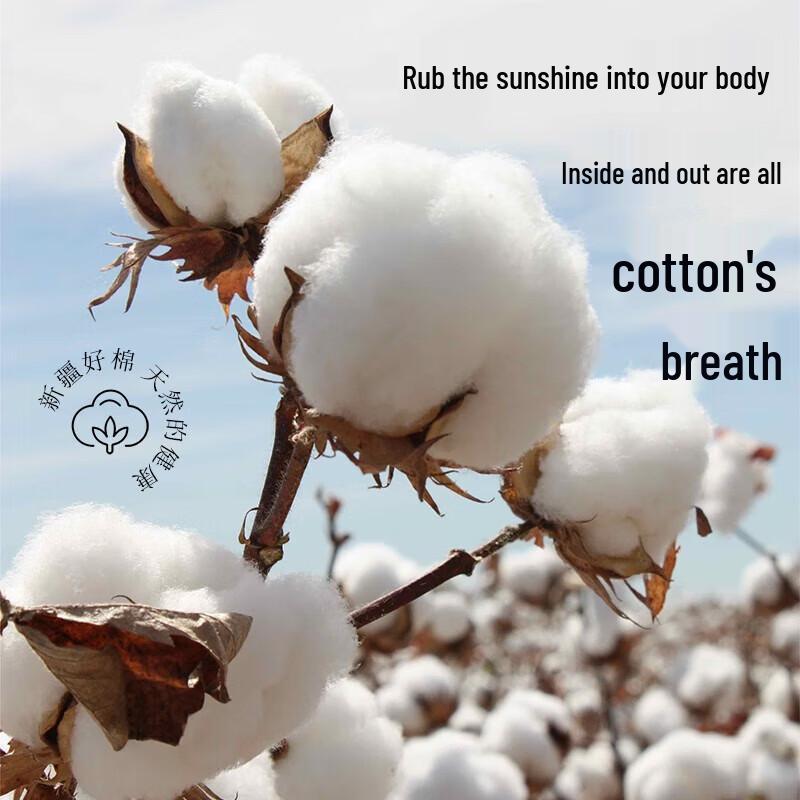 

Grace Yarn-Dyed Washed Cotton 3-Piece Bedding Set