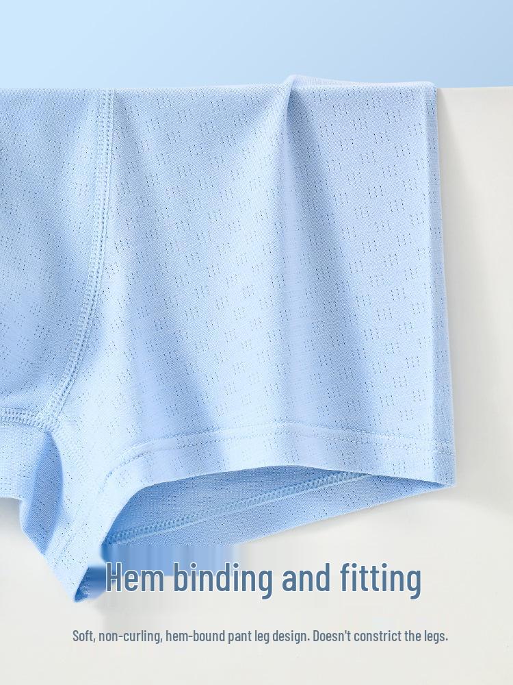 Teen Boys Antibacterial Ice Silk Boxer Briefs - Junior and High School, Plus Size Shorts