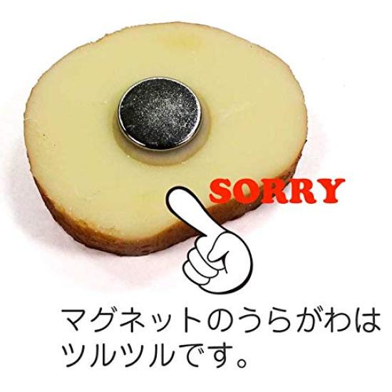 stomach will rumble every time you look at Rusk Mini Food Sample Magnet Gift 298SM Coconut Accessories [Your it] (Sugar Butter) - Cute, Funny,