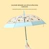 MINISO Cute Pet Series Transparent Long Handle Umbrella