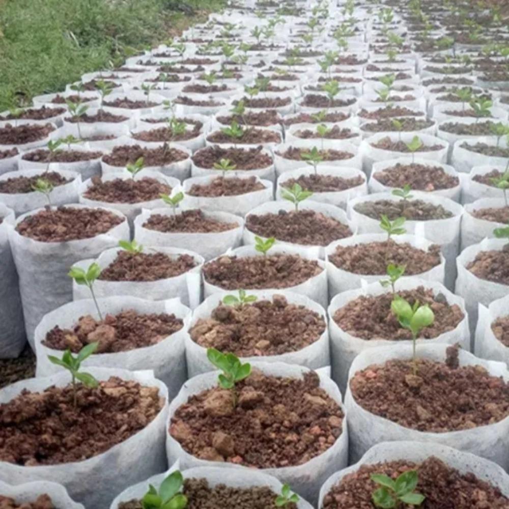 100Pc Biodegradable Nursery Bag Non-Woven Plant Nursery Bag For Vegetable Transplant Flower Seed Breeding Home Garden Supply