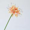 Wedding Decorative Artificial Flowers Silk Red Spider Lily Hall Decoration Simulation Flower 67cm Pink Red Spider Lilies Branch