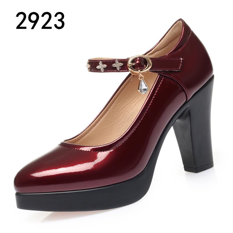 Qipao Women's Chunky Heel Leather Platform Shoes