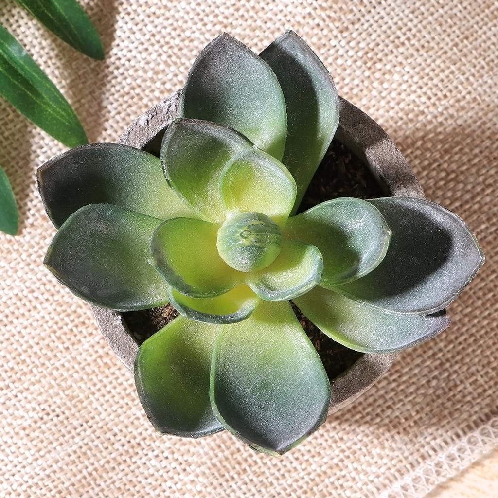 Artificial Plastic Succulent Flocking Plants Home Cafe Floral Decor Props