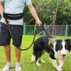 Waist Dog Hands Collars Harnesses Leads Free Dogs Leash Waist Running Leash Zipper Walking Pouch Reflective Dual Padded Handles