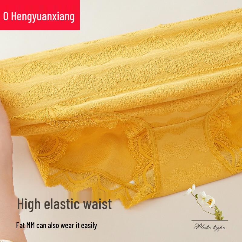 Hengyuanxiang Women's High-Waist Seamless Lace Briefs 3-Pack