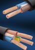 42.5 National Standard Sheathed Cable Wire, 3-Phase / 2-Phase, 234-Core, 1.510 Sqm, Flame Retardant, Construction Power Cord, 6.