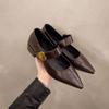 Fashion French Block Heel Single Shoes Women Spring and Autumn New Metal Buckle Pointed Toe Shallow Mouth One Belt Mary Jane Shoes