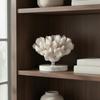 Faux Coral Sculpture Minimalist Simulated Coral Sculpture Table Ornament Creative Long-Lasting for Study Room, Reception Desk