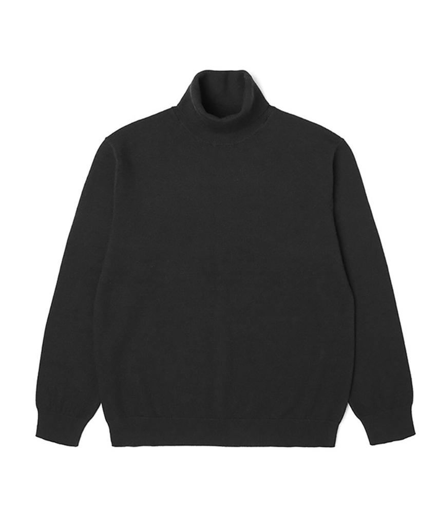 ADHOC Unisex Basic Turtleneck Knit (Black) (Ha1Lk91-39)
