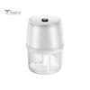 Tritatutto Elettrico Mini da 250 ml Ricaricabile USB Funzionamento a Un Pulsante Facile da Usare Tritaglio per Aglio a Risparmio Energetico