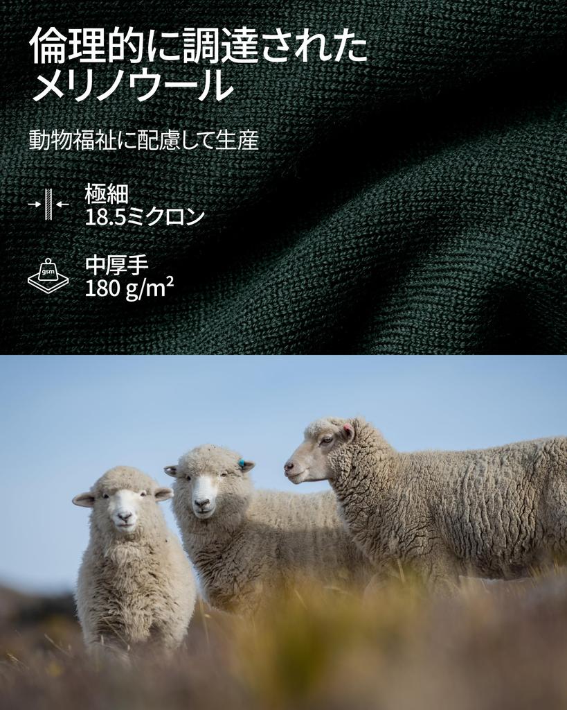 DANISH ENDURANCE Merino Wool Base Layer and for Men and Dark Size L Set, Warm, Breathable, Soft, Moisture-Wicking, Women, Green,