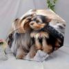 Yorkshire Terriers Cuddling in Snowy Backdrop Folding Umbrella - Automatic Open Compact Portable Dog Lover Gift, 8-Rib Durable