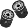 Road Passion 2540086 Oil Filter Compatible with Indian FTR 19 2021-2022 FTR R Carbon 2021-2024 FTR Rally 2020-2024 FTR S 2019 2021-2023 FTR Sport