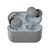 Final ZE500 for ASMR 3D Wireless Earphones (GRAY)