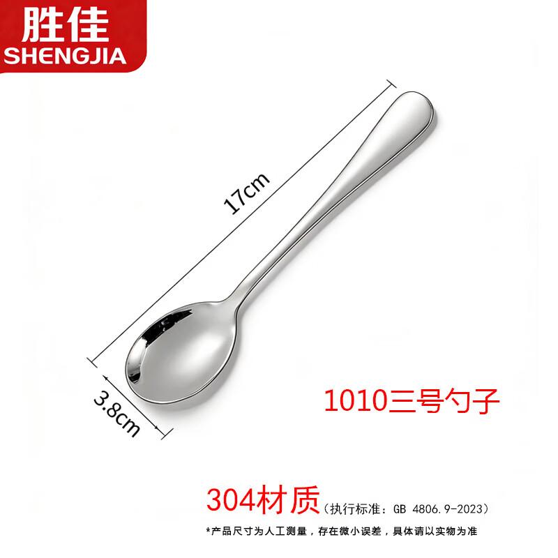 Shengjia 304 Stainless Steel Oval Spoons