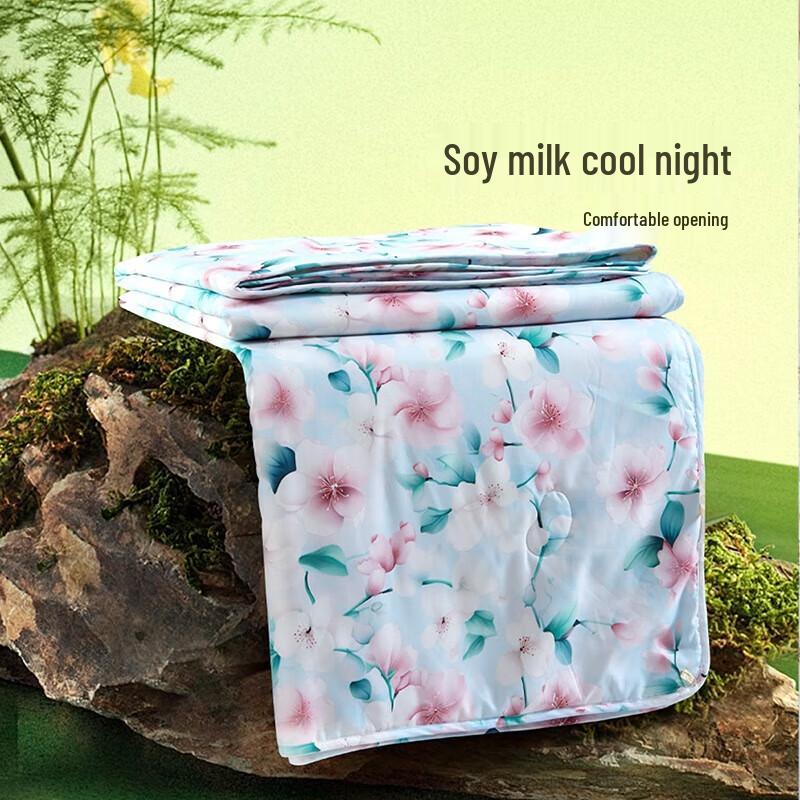

Fuanna Antibacterial Washable Summer Quilt
