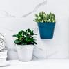 Home Wall Flower Pot Hanging Plastic Wall Planter Basket Desktop Table Floor Garden Office Home Decor