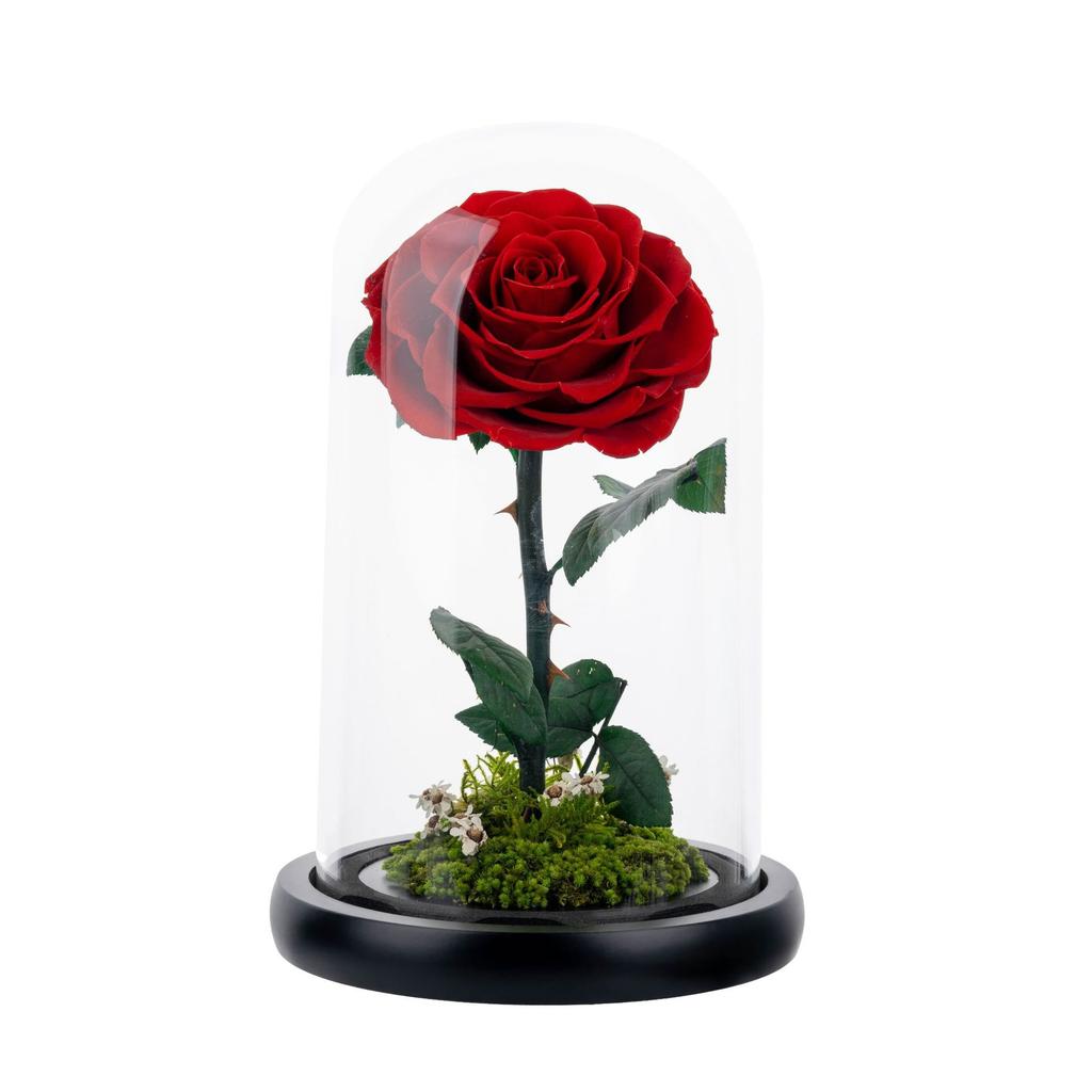 Unsterbliche Blume, die Rose des kleinen Prinzen, echte Blume getrocknete Blume, hochwertiges Fertigprodukt, Geschenk zum Geburtstag und Valentinstag für den Freund.