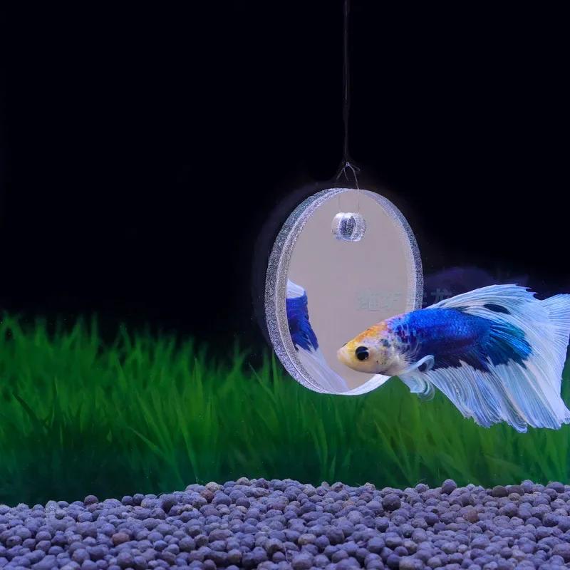 Aquarium Betta Mirror Fish Tank Floating Round Mirror for Fish Betta Flowerhorn Cichlid Training