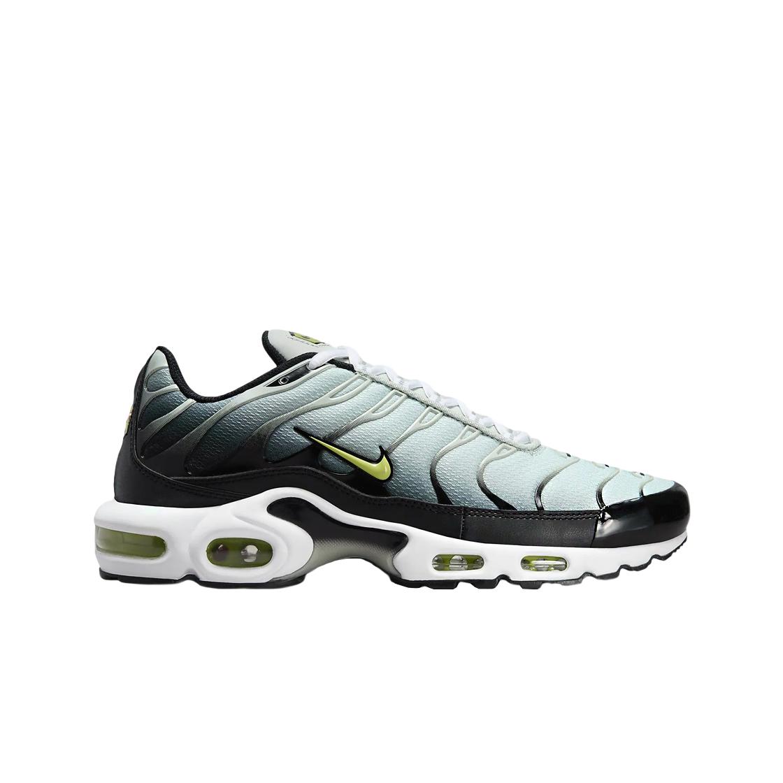 

Мужские кроссовки Nike Air Max Plus Black Bright Cactus DM0032-006