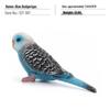 Cross-border Bird Model: Children's Budgerigar & Cockatiel Desktop Decor