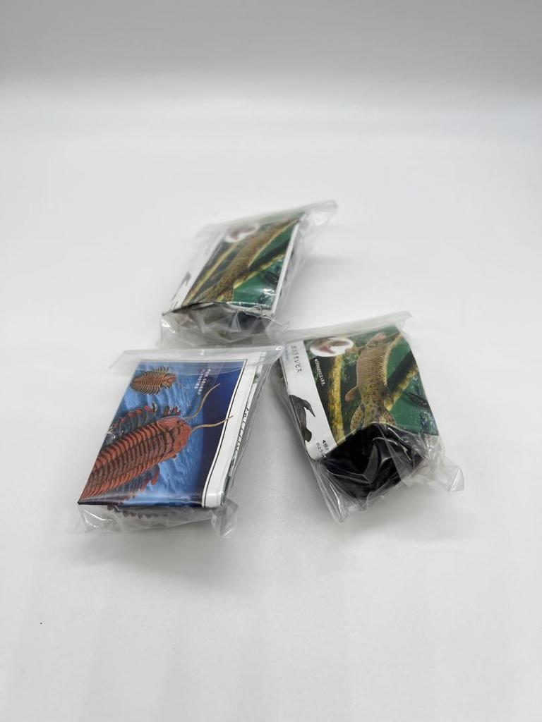 [USED] Paleozoic Explosion of Life