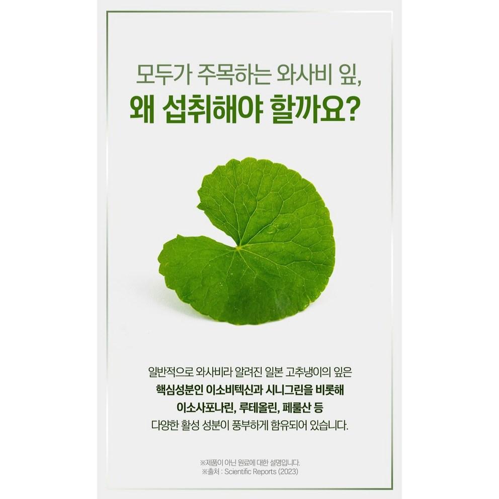 Vita Mellow Wasatexin Max Comprimés Extrait de Feuille de Wasabi, Certifié HACCP, 120 Comprimés