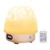 Rechargeable Atmosphere Lights With16 Colors Dimmable Bedside Lamp with BT Speaker Galaxy Projector Light for Bedroom
