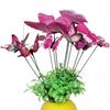 Butterfly Stakes Garden Butterflies Teaching Tools