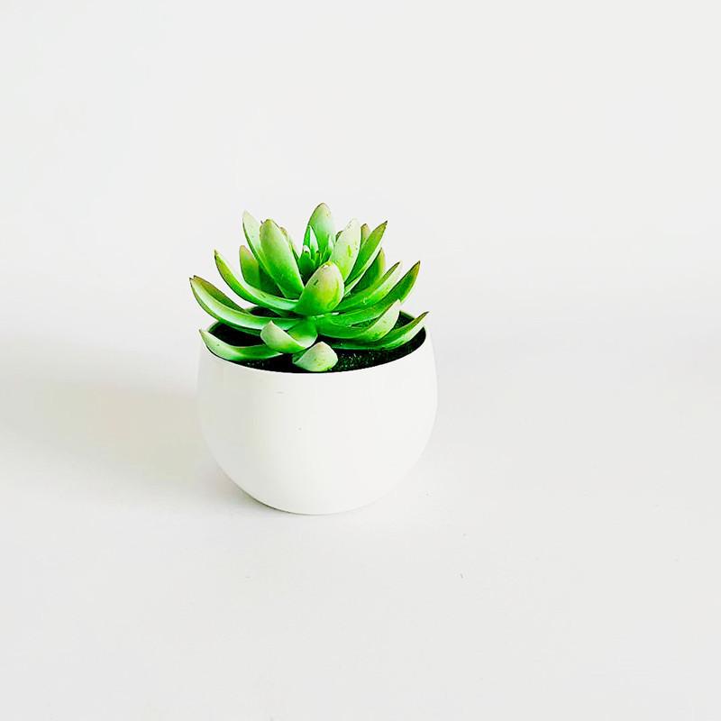

Fake Succulent Plant Pot With Pvc Material For Home Decor And Office Indoor Display