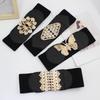 Wide Belt Women's Decorative Skirt Coat Waist Versatile Pair Buckle Elastic Elastic Waist Seal