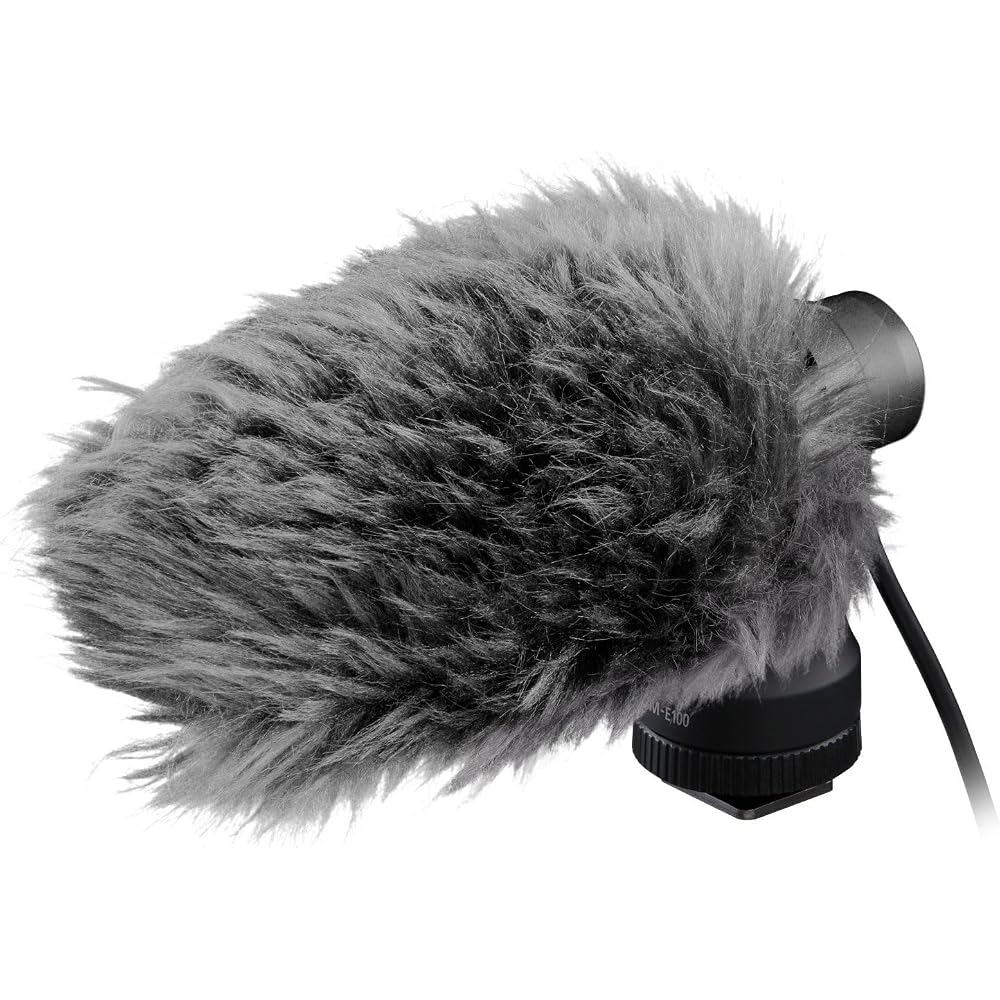 DM-E100 stereo microphone