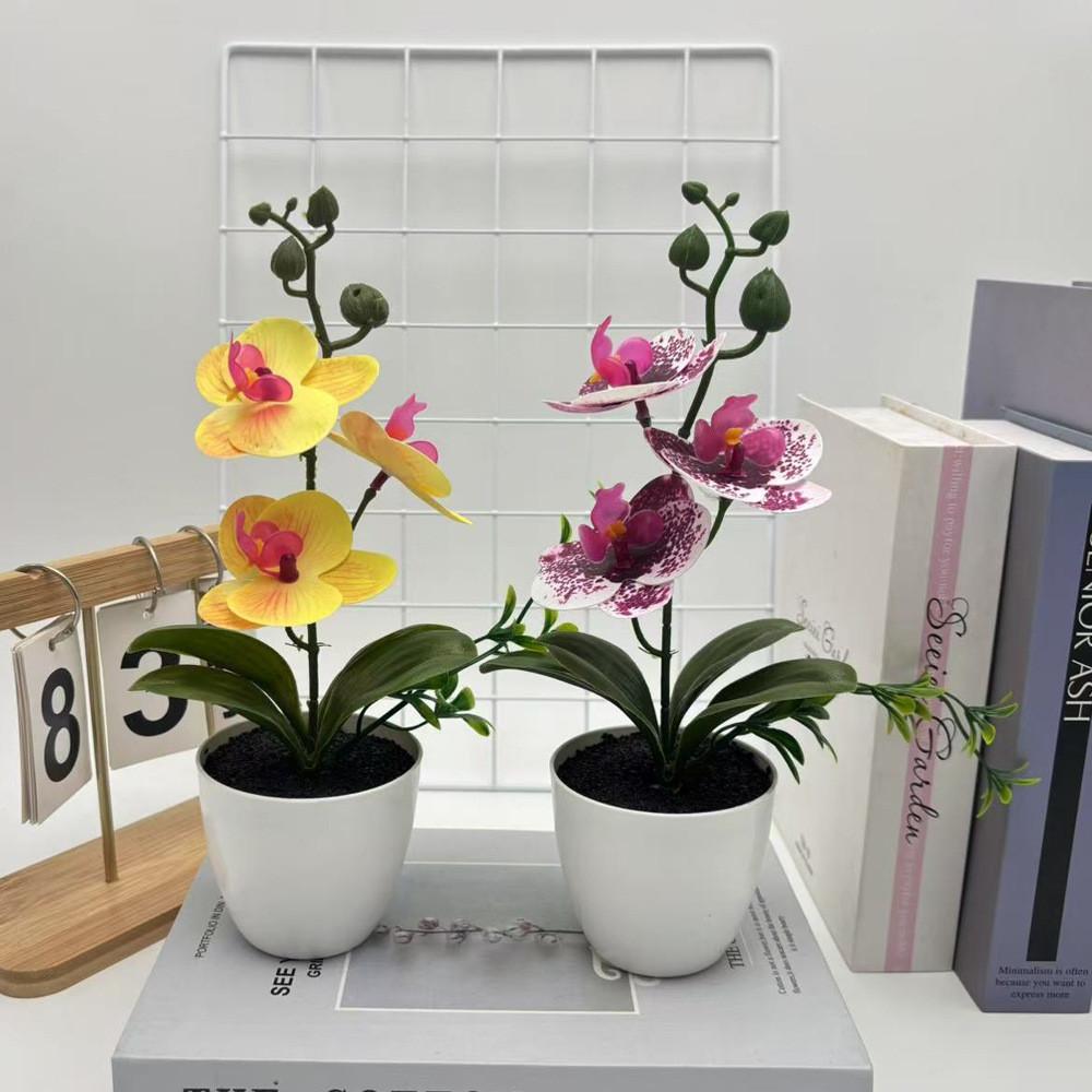 Simulated Sand Phalaenopsis Bonsai Green Plants For Home Wedding Decoration