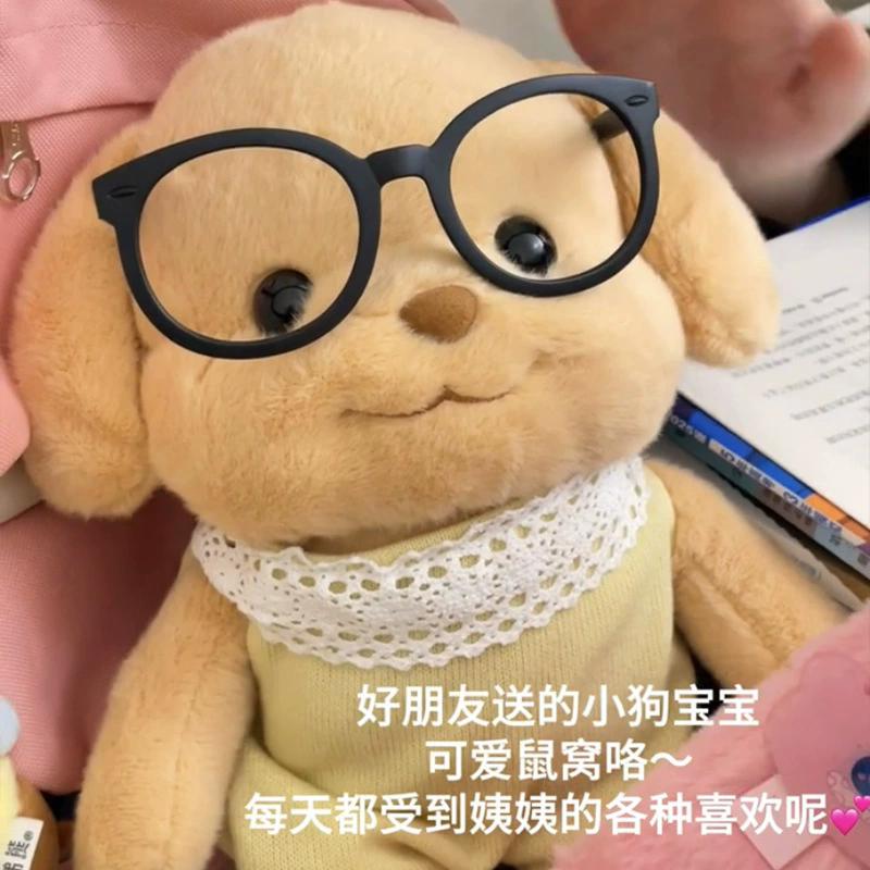 Kids Cute Poodle Dog Plush Model Hot Tt Ins Backpack Yellow Puppy Plushie Doll Kawaii Simulation Anime Stuffed Toy Girl Gift