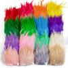 Featherwholesale Colored Chicken Feather Trims 10-15cm Ribbon Sewing Natural Pheasant Feather for Craft Dress Party Costume Plume Decor