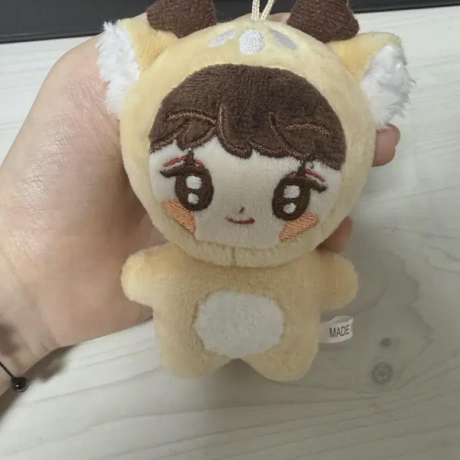 Riize Sungchan's Fan-made Doll Pochan Pochan Is A Sungchan 