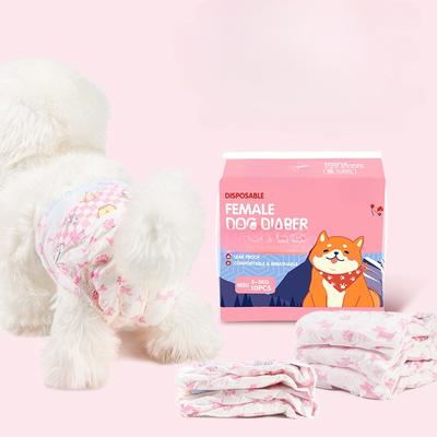 10 ADET/paket Süper Emici Köpek Bezi Evcil Hayvan Dişi Fizyolojik Külot Köpek Tek Kullanımlık Sızdırmaz Bezler Yavru Hijyenik Külot