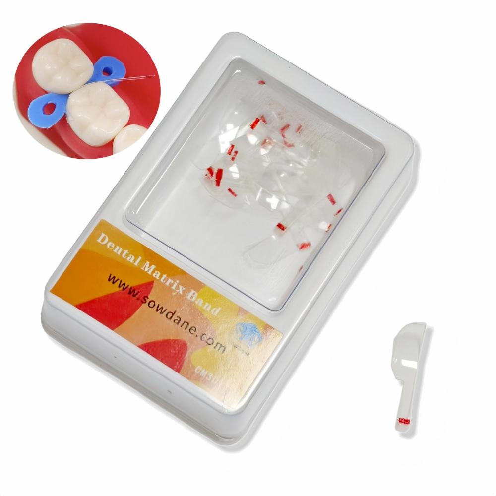 Dental Transparent Sectional Contoured Matrices Matrix Polyester Matrice  for Anterior and Posterior Teeth