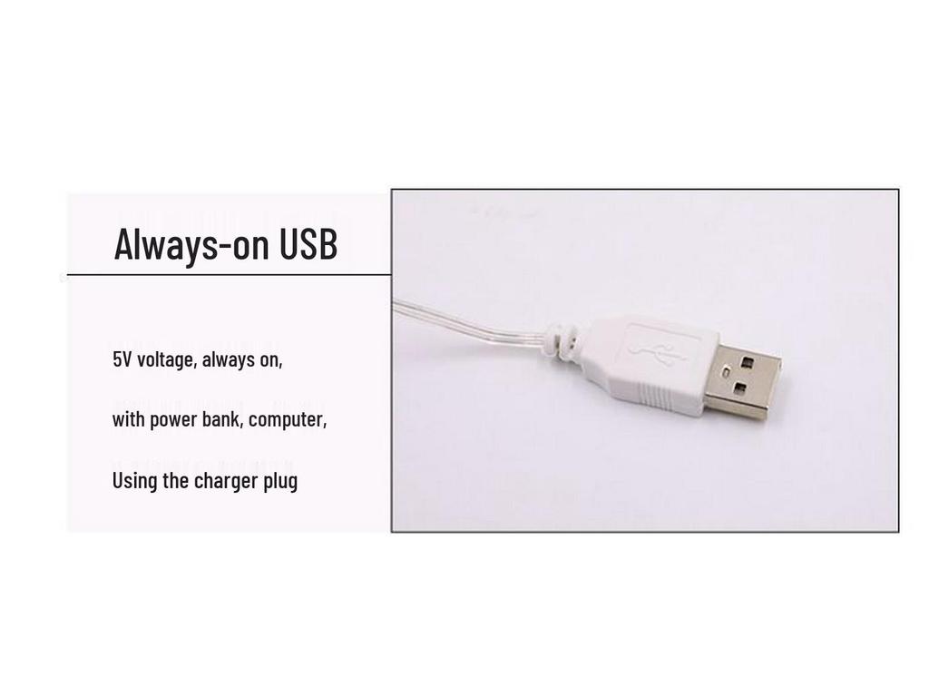 Valentine's Day Romantic LED Heart Fairy Lights for Bedroom & Proposal Decoration