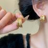 Women's Ring Metal Tassel Unique Earrings 2 Colors