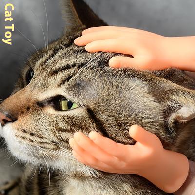 Koty – Zabawki dla kotów