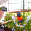Parrot Swing Toy Multi-color Climbing Toys U-shaped Cotton Rope Bird Training Stand