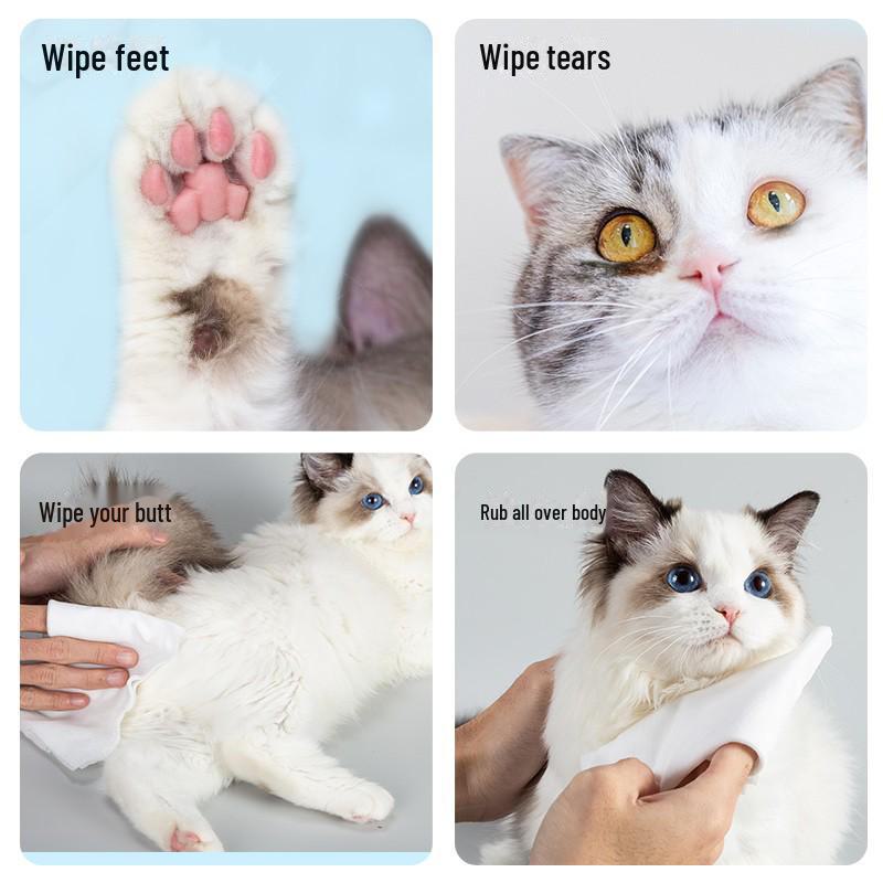 Haustier-Feuchttücher – 80 Badetücher für Katzen und Hunde (400g) zum Reinigen und Desodorieren