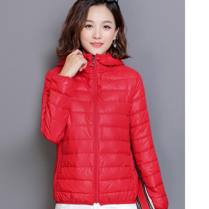 Winter Cotton-padded Warm Jacket Thin Cotton-padded Jacket Hooded Short Women's Clothing