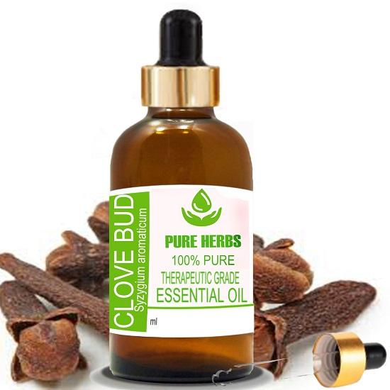 Pure Herbs Clove Bud (Syzygium aromaticum) Pure & Natural Therapeutic Grade Essential Oil Glass