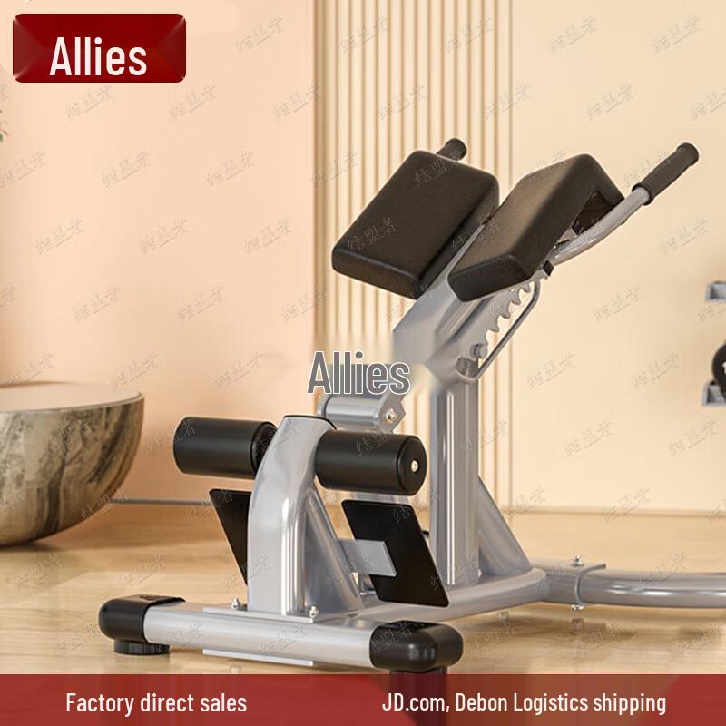 Ally Professional Hyperextension Dumbbell Bench Roman Chair