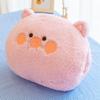 Warm Hand Plush Toy Cute Cartoon Nap Office Girls Children Holiday Doll Gift