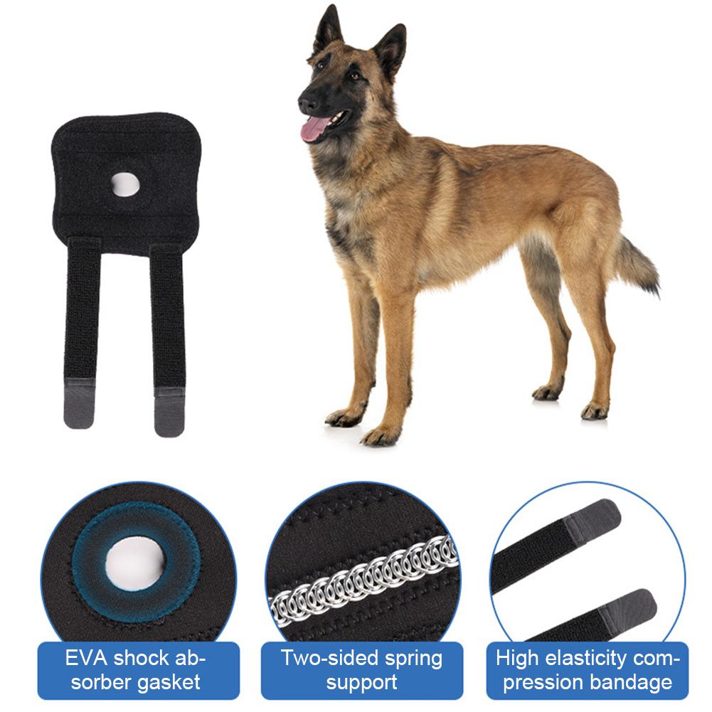 Dog Hock Support Canine Rear Injury Recovery Fixed Leg Support Brace Pain Relief Dog Knee Pads Knee Brace Joint Wrap Support Pet Recover
