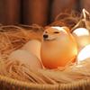 Shiba Inu Realistic Egg Shape PVC Desk Decor, Dog and Egg Union Decorations for Home, Offices, Fun Christmas Gifts